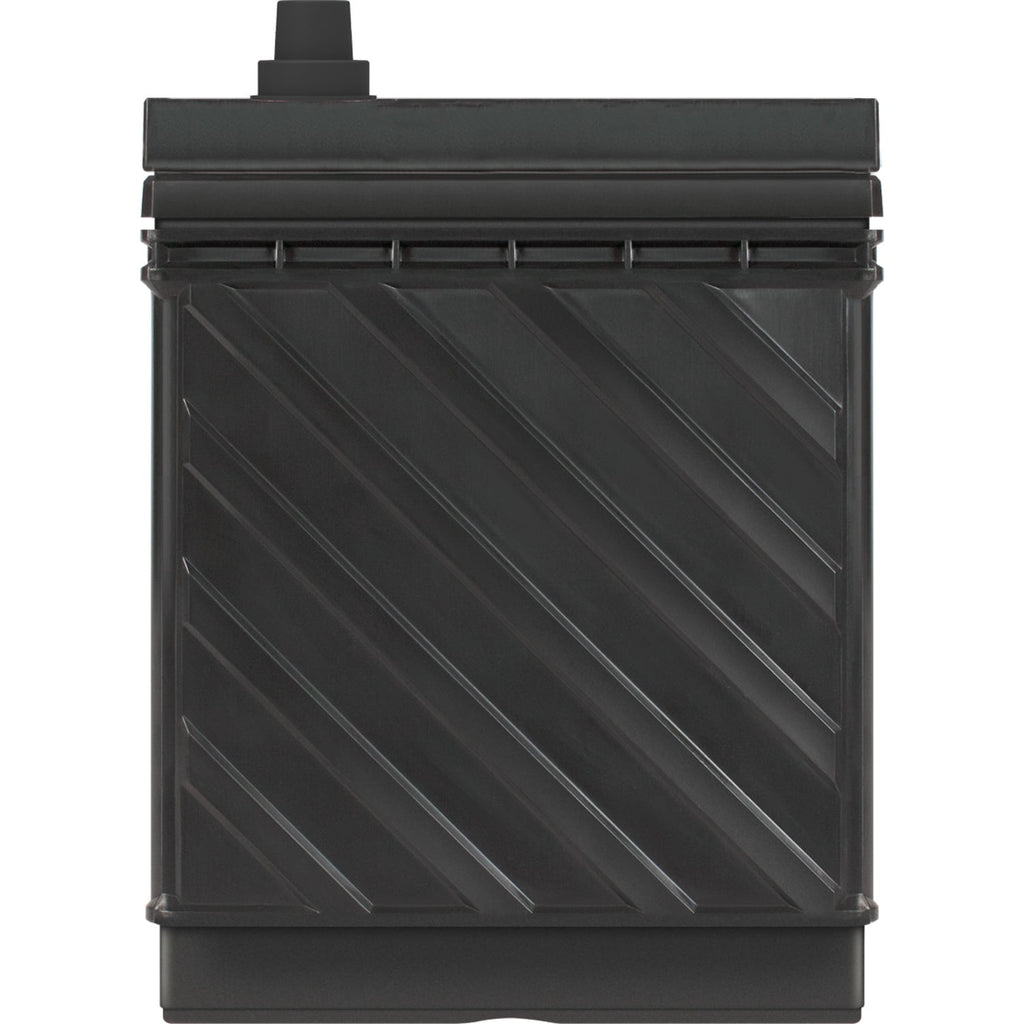 EverStart Maxx Marine Battery, Group Size 29DC 12 Volt, 845 CCA