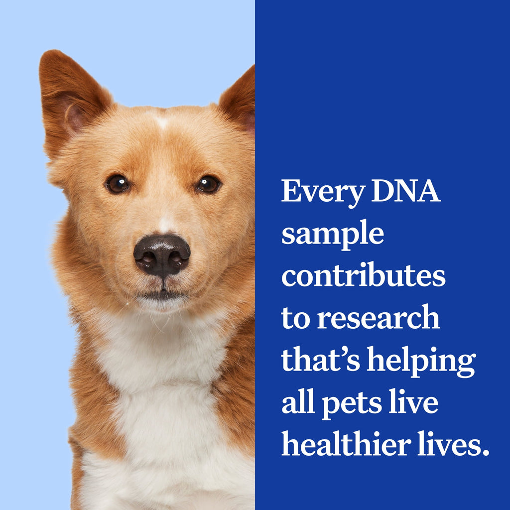 Wisdom Panel Essential, Breed Identification & Health Condition Identification, Dog DNA Test Kit