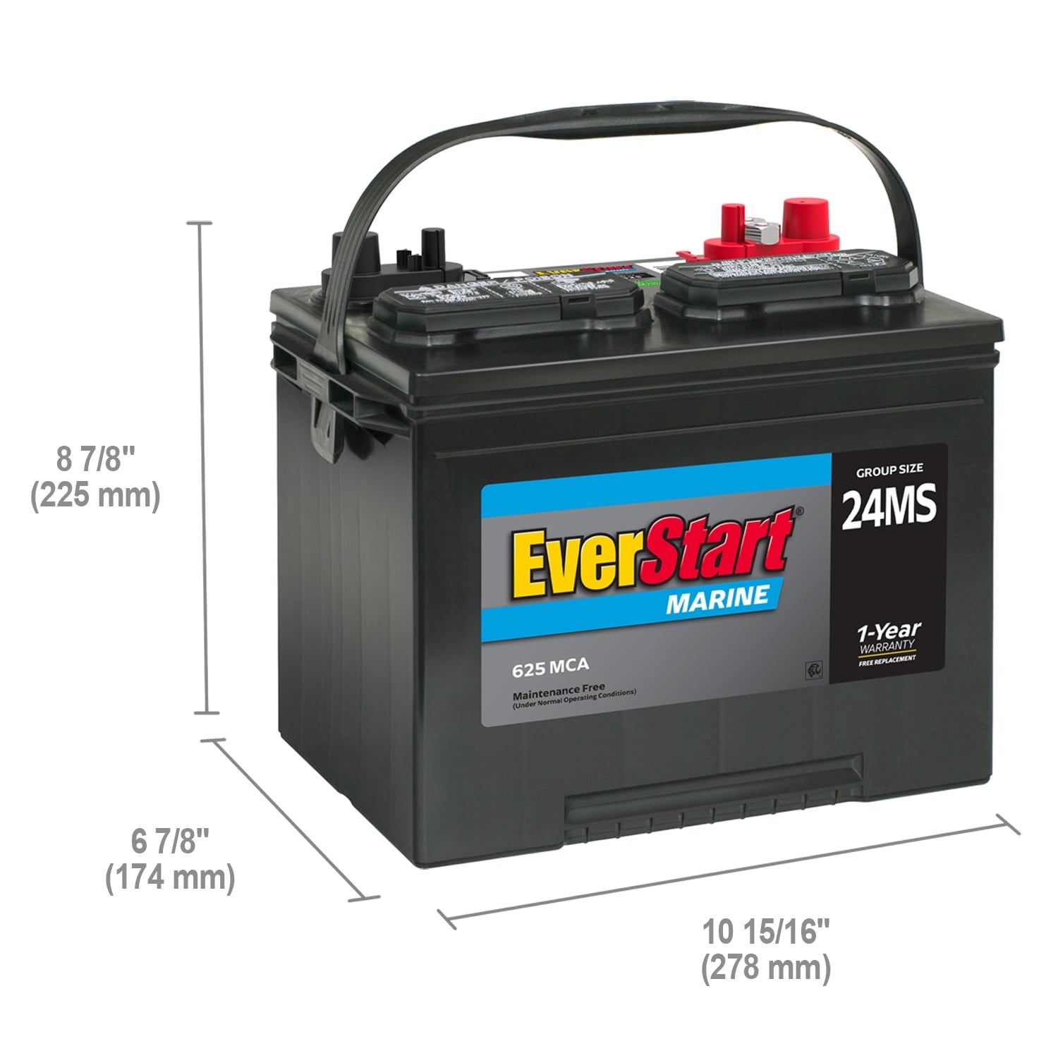 EverStart Lead Acid Marine Starting Battery, Group Size 24MS 12 Volt, 1000 MCA