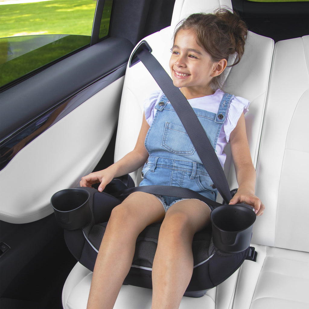 Evenflo EveryKid Convertible Car Seat, Livingston
