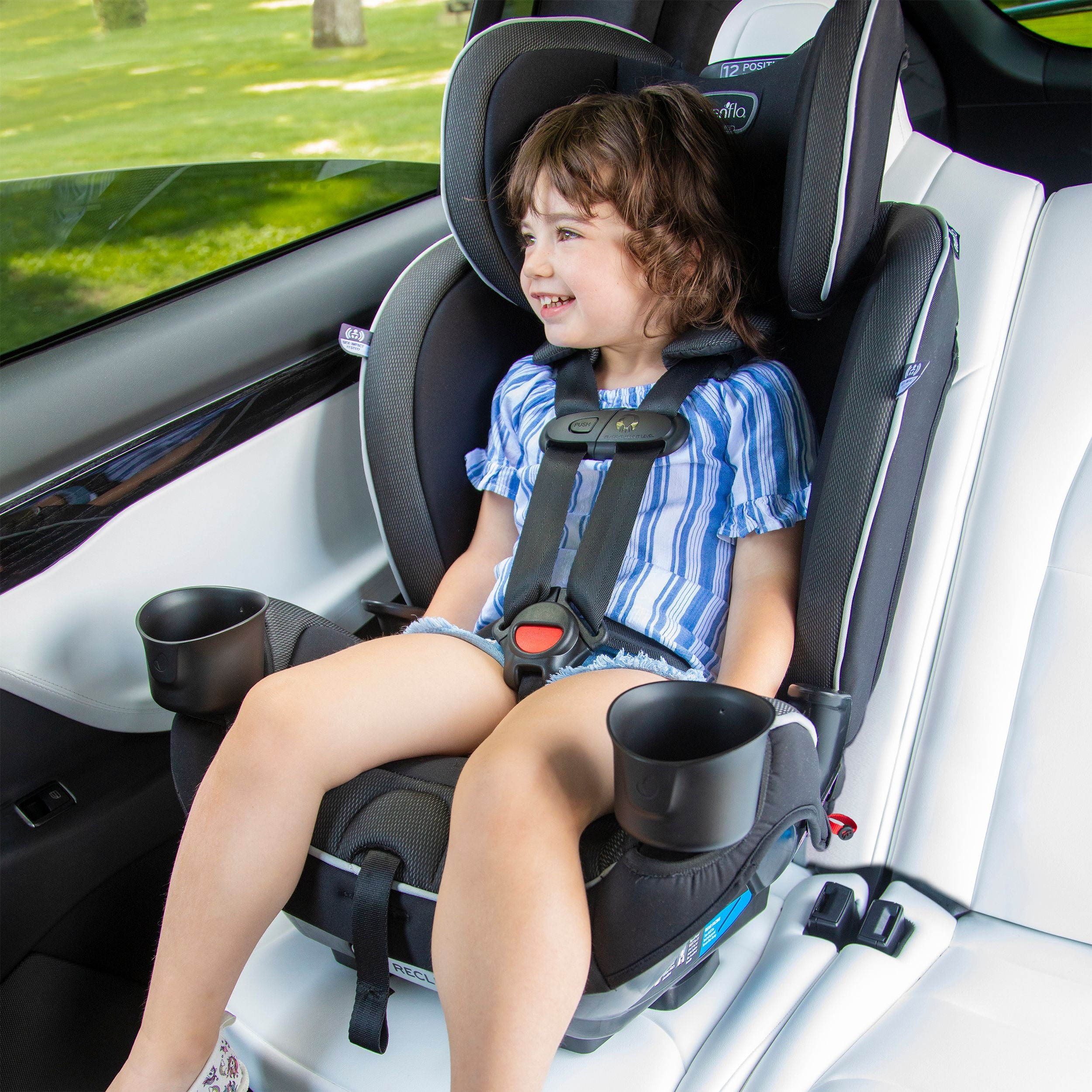 Evenflo EveryKid Convertible Car Seat, Livingston