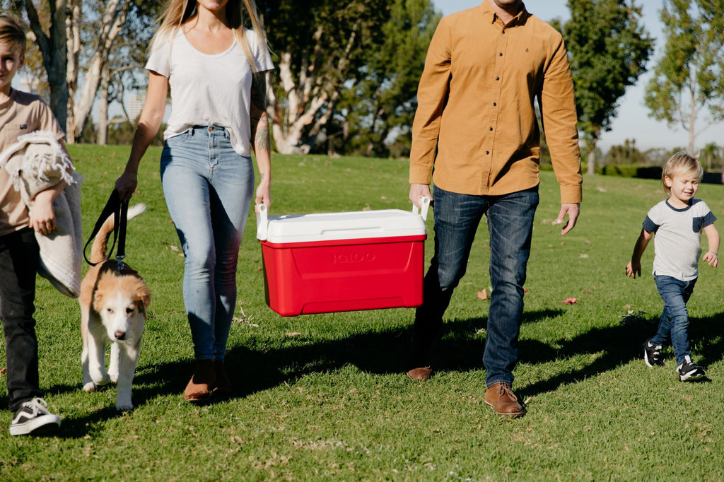 Igloo 48 QT Laguna Ice Chest Cooler, Red