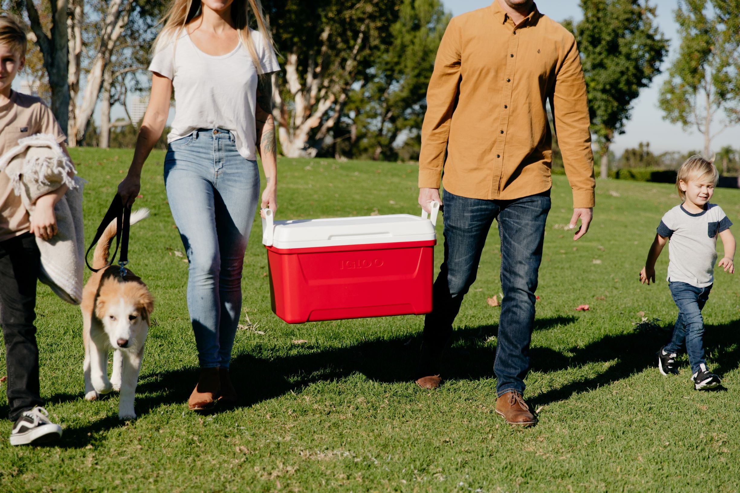 Igloo 48 QT Laguna Ice Chest Cooler, Red