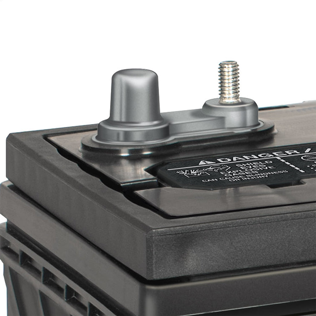 EverStart Maxx Marine Battery, Group Size 29DC 12 Volt, 845 CCA
