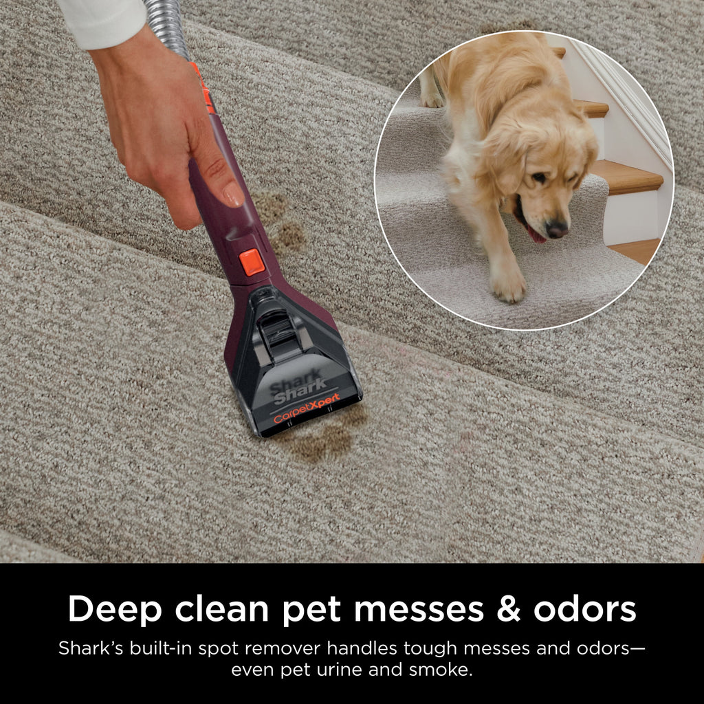 Shark CarpetXpert Upright Carpet & Upholstery Cleaner, Built-In Spot & Stain Eliminator, Carpet Shampooer, EX150, Magenta