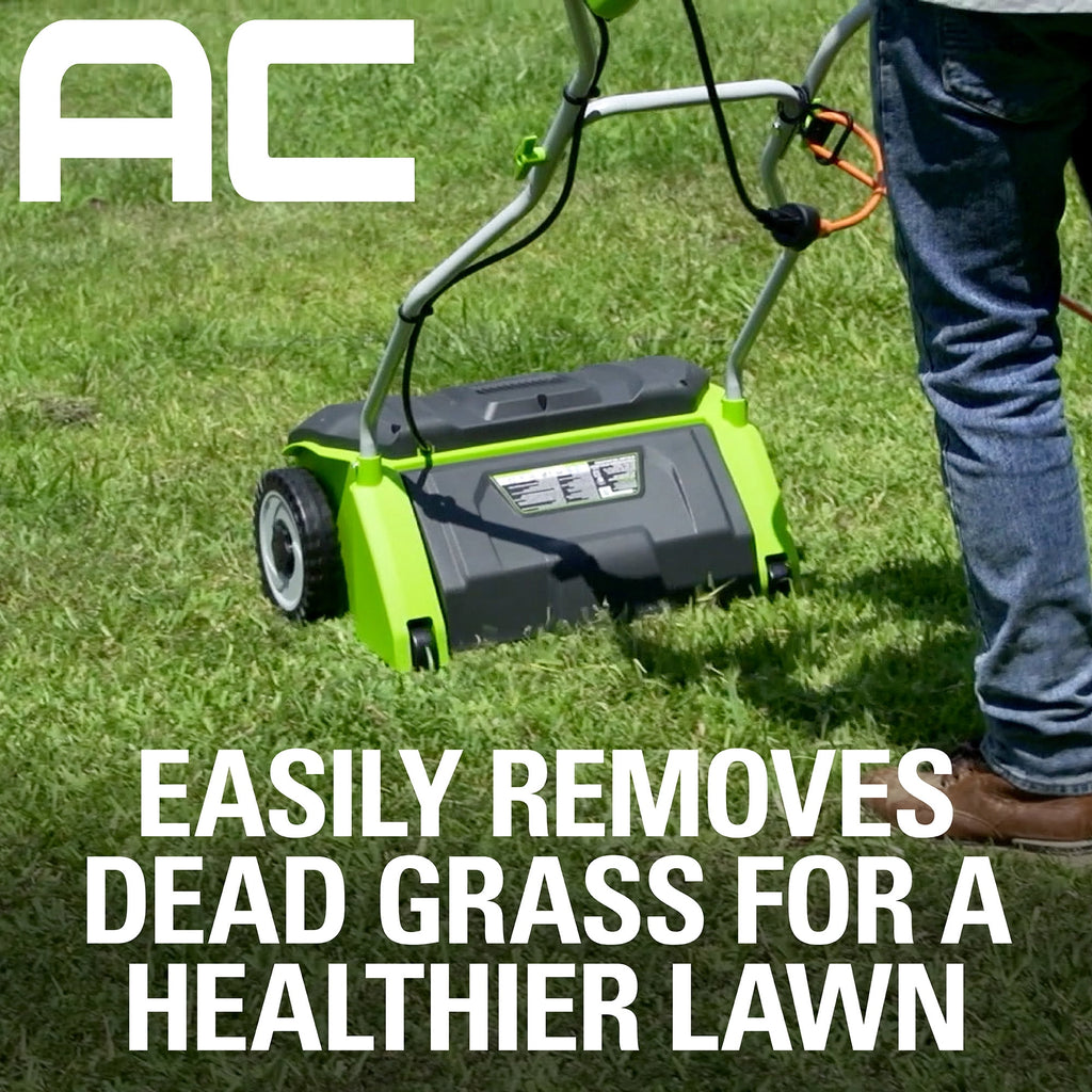 Greenworks 14 in. 10 Amp Corded Electric Dethatcher, DT14B00
