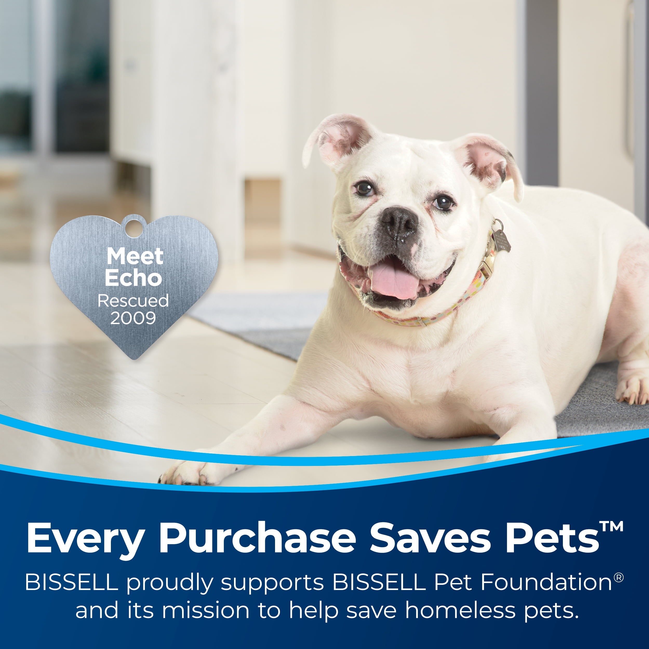 BISSELL Pro Heat 2X Revolution Pet Carpet Cleaner, 3578