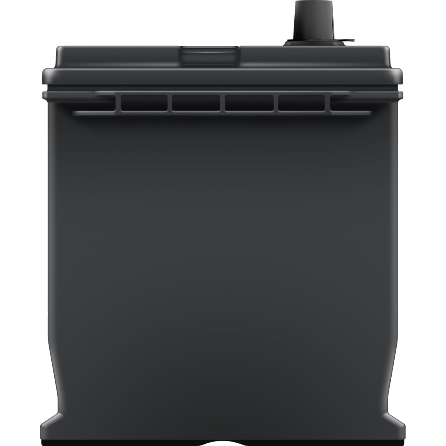 EverStart Maxx Lead Acid Automotive Battery, Group Size 124R 12 Volt, 700 CCA