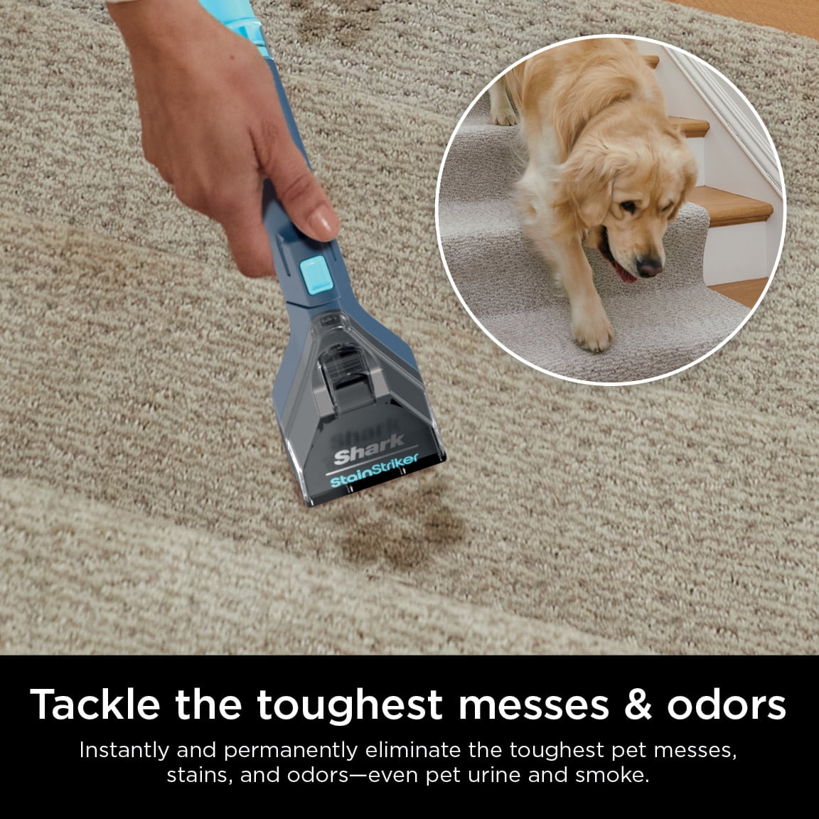 Shark StainStriker Portable Carpet & Upholstery Cleaner, Spot, Stain and Odor Elminator, PX200, Navy