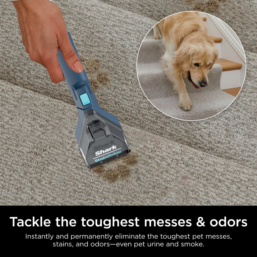 Shark CarpetXpert with StainStriker, Upright Carpet & Upholstery Cleaner, Built-in Spot & Stain Eliminator, Deep Cleaning & Tough Stain Removal, Carpet Shampooer, Navy, EX200