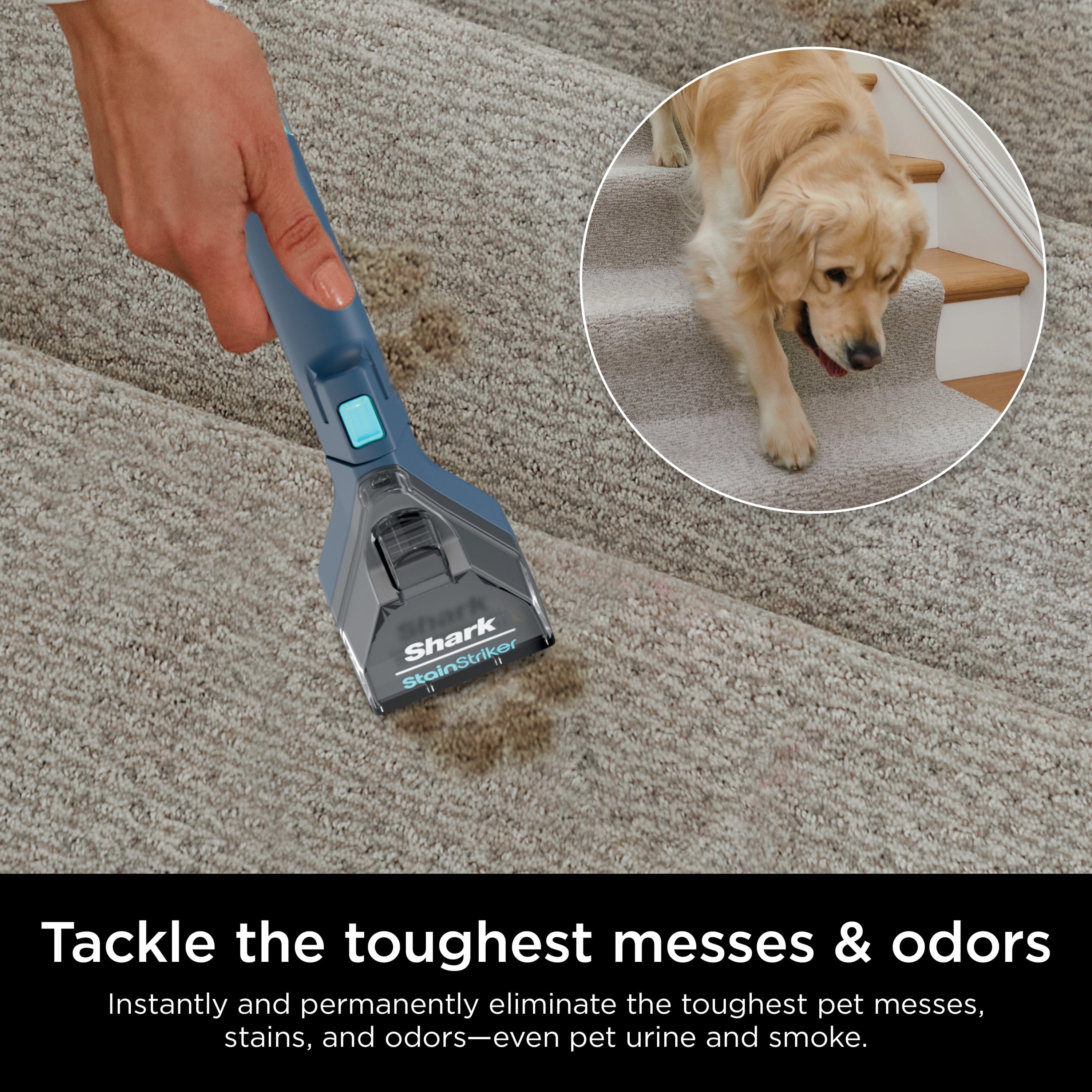 Shark CarpetXpert with StainStriker, Upright Carpet & Upholstery Cleaner, Built-in Spot & Stain Eliminator, Deep Cleaning & Tough Stain Removal, Carpet Shampooer, Navy, EX200